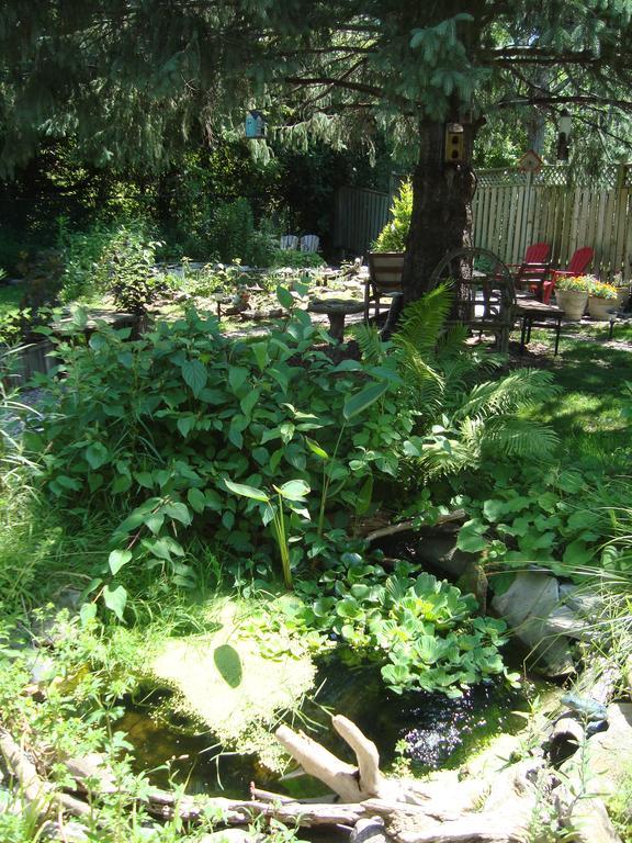 Paddington Place Bed & Breakfast Oshawa Bagian luar foto